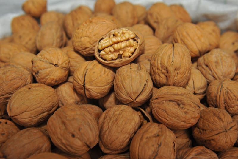 تصویر 3 از گردو تویسرکان پوست کاغذی ارگانیک با درصد مغز بالا